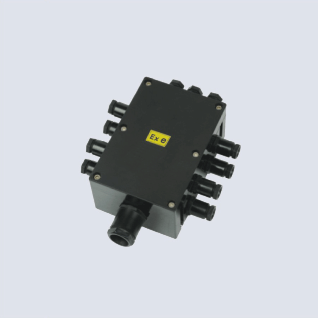 BJX8050系列防爆防腐接線箱(II C、 ExtD)